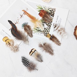 200pcs 10 Style Natural Feathers Assorted Mixed Feathers for Dream Catcher Crafts Decoration (10 Styles - 200 Pcs)