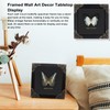 Polyura Nepenthes Butterfly Framed Decoration - Handmade Taxidermy Butterfly Shadow