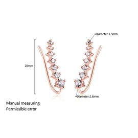 Susan Women's Earrings, Popular, 18K Gold, Pink Gold, Zirconia, Earrings, Adults, Women's Accessories (Pink Gold), Brass Rose Gold Silver Cubic Zirconia, Cubic Zirconia Zircon