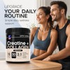 GN Creatine Monohydrate and Hydrolysed Bovine Collagen Peptides Powder, Unflavoured,
