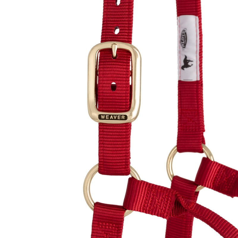 Weaver Leather Original Non-Adjustable Nylon Horse Halter, Large, Red
