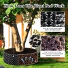 RooTrimmer 60 Gallon Air Pruning Container, Raised Garden Bed Large