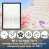 47001 47002 47003 HEPA/Carbon Combo Filter Replacement for NUWAVE OxyPure