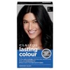 Clairol Lasting Colour Permanent Hair Dye | Ideal Grey Coverage