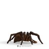 schleich 13987 Aragog, from 6 years Wizarding World - Figurine,