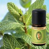Primavera Organic Fragrance Oils for Aromatherapy 5 ml Each Scent: