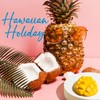 Xcleen Reed Diffuser Set, 6.7 Oz Hawaiian Holiday Scented Reed