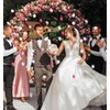 ValueBargain Pink Rose Petals, 200Pcs Artificial Fake Rose Petals for