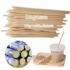 Pack of 400 Disposable Straws Made of Bagasse, 21 cm