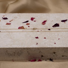 Carissima Gold Women's 9 ct Yellow Gold 0.4 mm Prince of Wales Chain Necklace of Length 41 cm/16 Inch