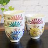 Kutaniyaki Tea Cup Set, 5 Guests, Hana Stylish, Tea Bowl,