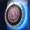 RADOLEO Arrow-ONE Steel-Silver Dart Case for 2 Players | for