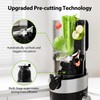 Juicer Machines Cold Pressed Easy to Clean with Brush