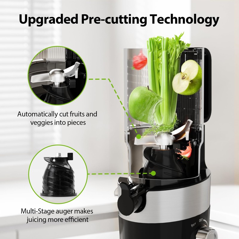 Juicer Machines Cold Pressed Easy to Clean with Brush