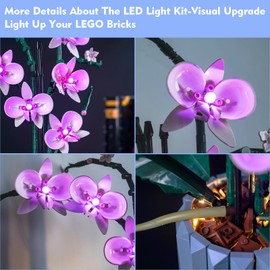 VONADO LED Light Compatible with Orchid Set, Pink Lighting Kit