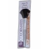 Colormates Powder Brush