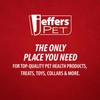 Jeffers Pet Ear Drops for Dogs & Cats – Ear