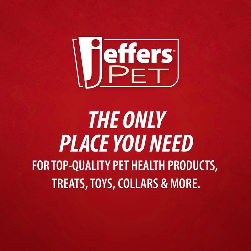 Jeffers Pet Ear Drops for Dogs & Cats – Ear