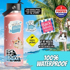 Funny Stickers for Adults, Funny Humor Meme Sticker Pack, Waterproof Sarcastic Cool Stickers for Water Bottles Laptop Bumper Hard Hats Scrapbooking Decals