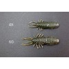 Jackall Worm Wam 60 Grippan/Light Chart