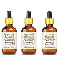 Greenwood Essential Natural Sweet Wormwood Essential Oil (Artemisia Annua) with Glass Dropper Natural Pure Therapeutic Quality Steam Distilled (Pack of Three) 100 ml x 3 (10 oz)