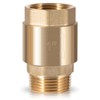 One Way Brass Check Valve, 1" NPT male in/ 1"