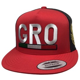 Unbranded GUERRERO MEXICO LOGO FEDERAL 2 LOGOS HAT RED BLACK MESH SNAPBACK