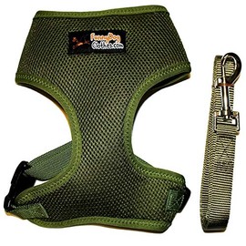 Dog Harness with Leash Vest Pet Puppy Soft Mesh (Green, S: Chest 12" - 16" Neck up to 9")