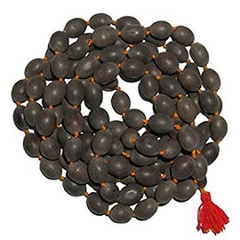 Original Kamal gatte Ki mala (Pack of 1) Laxmi Pooja Kamal Gatta Mala | Lotus Seeds Prayer Rosary Japa | Wearing | thamarai mani malai | Lakshmi Puja | laxmi Sadhna Siddhi. Hawan Puja Item/Samagri