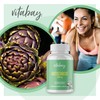Concentrate, 350 mg Hochdosiert 90 VeganCaps – Artichoke Extract with 2.5% Cynarin