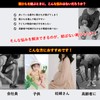 [Amerlery] No Tie Shoelaces, Stretchable, Elastic Flat Laces, Laces, 43.3
