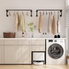 WTPLWD Industrial Pipe Clothes Racks 2 Pack, Black Pipe Wall