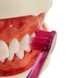 Ebisu Zero Premium Care Rich Ultra Compact Normal