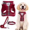 PUPTECK Adjustable Dog Harness Collar and Leash Set Step in