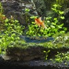 Kisangel 5pcs Fish Tank Spawning Mop Decorate Tanks Tank Fish