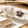 AIHSUMC Elevated Cat Bowls 3 Pack, 15° Tilted Raised Cat