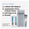 Just For Men Moustache & Beard Brush-In Colour Gel M-25