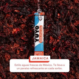 YUYO Vitaminas | 80 Sobres de Electrolitos con Vitaminas en Polvo (8 Cajas de 10 Sobres) | Sabor Jamaica | Electrolitos, Vitamina C e Iones