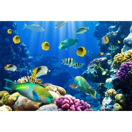 Yeele 10x8ft Under The Sea Backdrops for Photography Ocean Aquarium Underwater World Photo Background Coral Fish Diving Seabed Kids Baby Birthday Party Photo Booth Shoot Vinyl Studio Props
