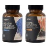 Hongo Cordyceps Y Melena De León Kit Energía 60 Caps