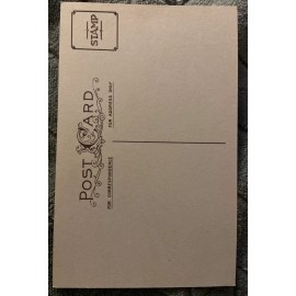 Vintage 1900's Merry Christmas POSTCARD Beautiful Poinsettias Be Happy