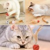 KxrTpx Cat Balls, Feather Ball Cat Toy And Bouncy Balls