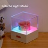 Rose Night Light Romantic Small USB Charging Soft Brightness Decoration