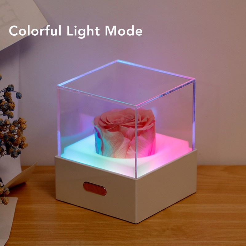 Rose Night Light Romantic Small USB Charging Soft Brightness Decoration