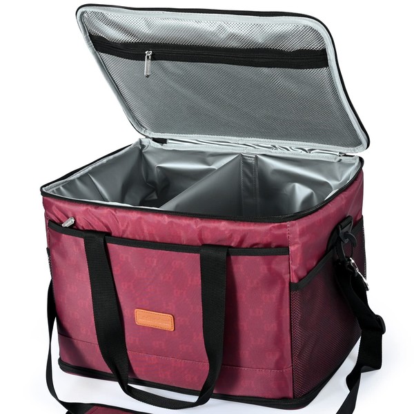 Ladbodun Insulated Lunch Bag Cooler:Expandable Reusable Lunch Box with Shoulder