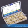 Glarks 120 Sets Gold Chicago Screws Assortment, M5 x 6/15/25/35/45/55