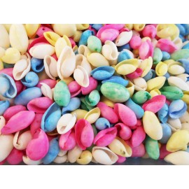 Florida Shells and Gifts 50 Mixed Color Bubble Shells 3/4" - 1" Beach Craft Colorful Party Decor Kids