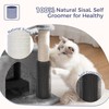 Pawfessor Cat Tree 32 Inches Small Cat Tower with Large