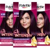 Palette Intensive Creme Colouration 4-99/880 Aubergine (3 x 115 ml),