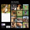 Paw Prints Range Boxers 2018 Square Wall Calendar